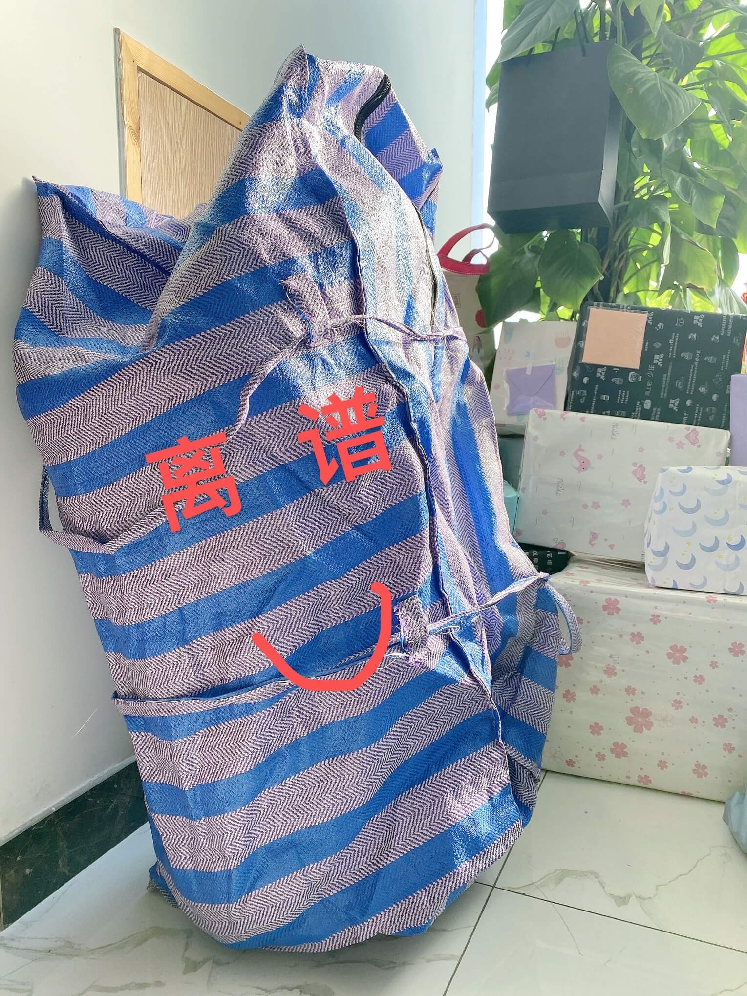 1611129355430791.jpg 1611129355430791.jpg